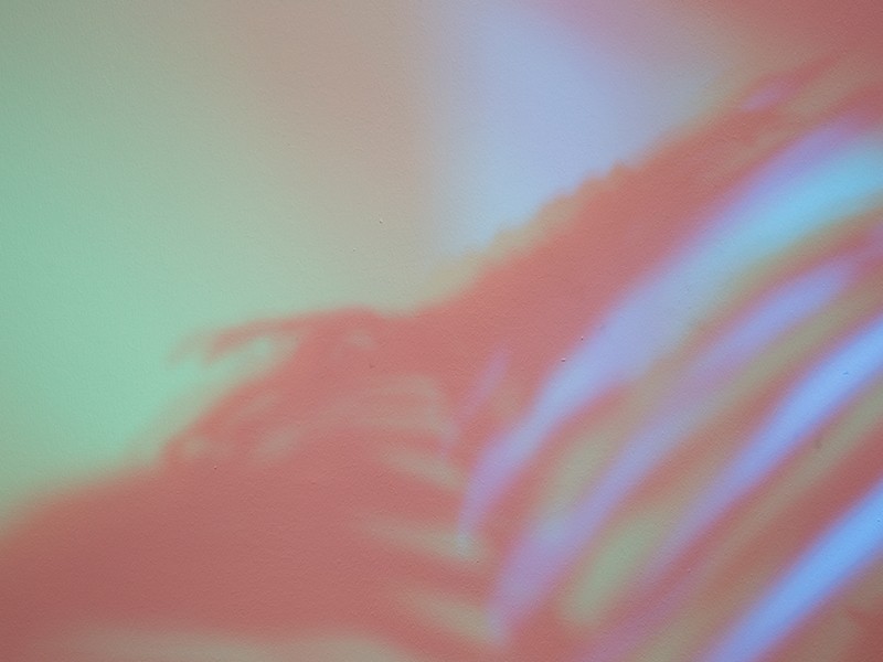 Case Study Image