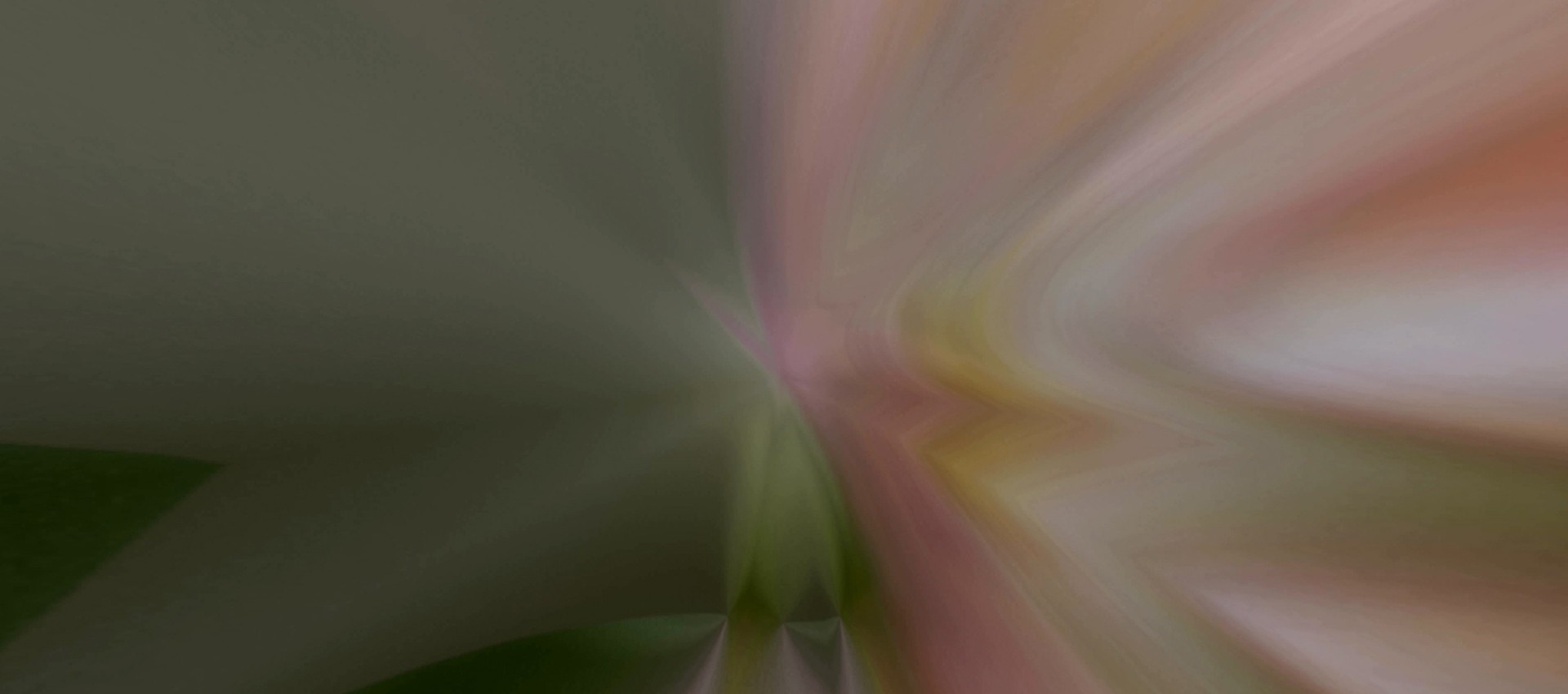 BG Image